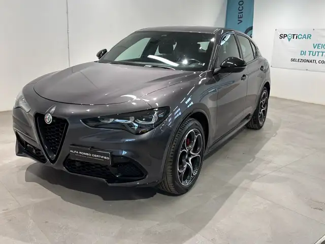 2024 Alfa Romeo Stelvio for sale
