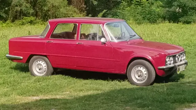 Alfa Romeo Giulia Nuova super 1300