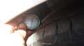 Toyota Corolla 1.8 125H ACTIVE E-CVT - thumbnail 18