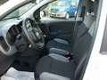 Fiat Panda TwinAir Natural Power City Life Bianco - thumbnail 10