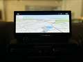 Toyota Proace City Meister (Navi, Apple Carplay) Blanc - thumbnail 14