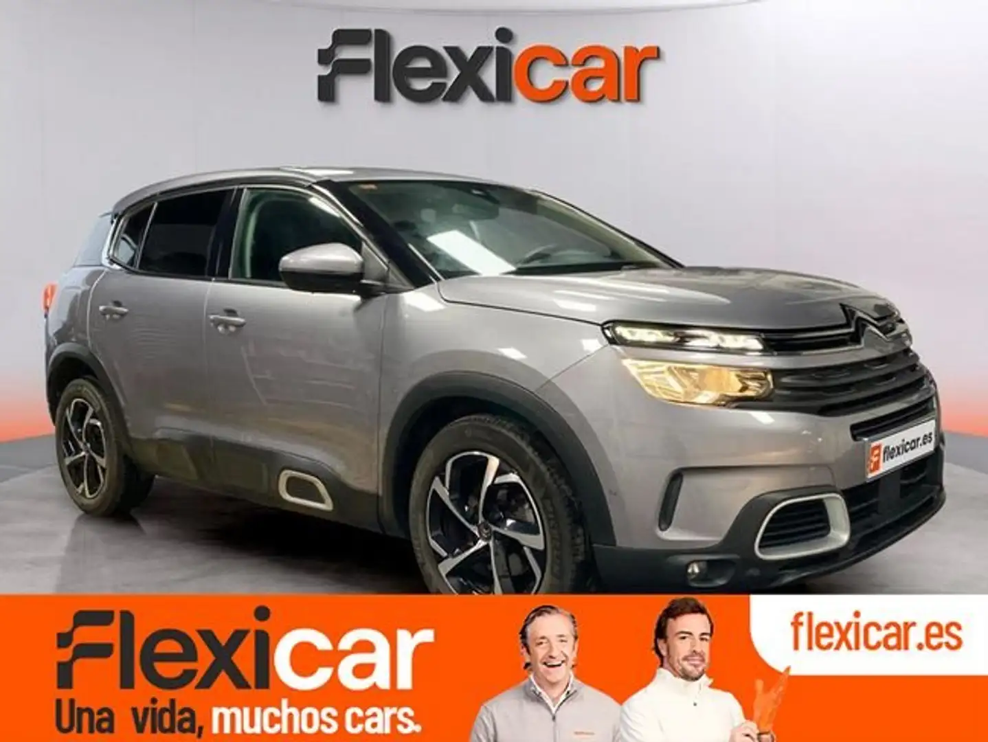 Citroen C5 Aircross PureTech S&S C-Series 130 Gris - 1