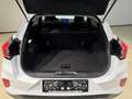Ford Puma 1,0 EcoBoost Hybrid Titanium Blanc - thumbnail 6
