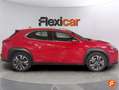 Lexus UX 250h 2.0 Business Rojo - thumbnail 3