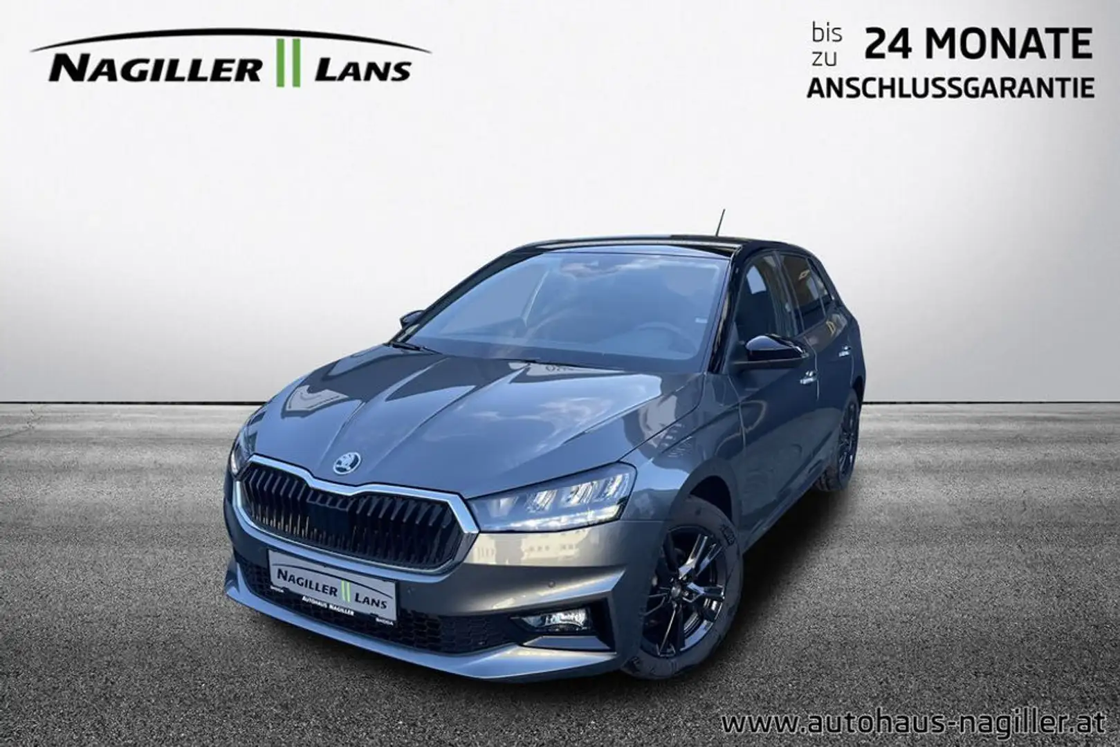 Skoda Fabia Selection TSI Grau - 1