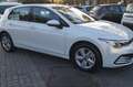 Volkswagen Golf 1.0 eTSI EVO DSG Life Bianco - thumbnail 3