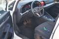 Volkswagen Golf 1.0 eTSI EVO DSG Life Bianco - thumbnail 7
