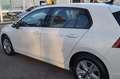 Volkswagen Golf 1.0 eTSI EVO DSG Life Bianco - thumbnail 6