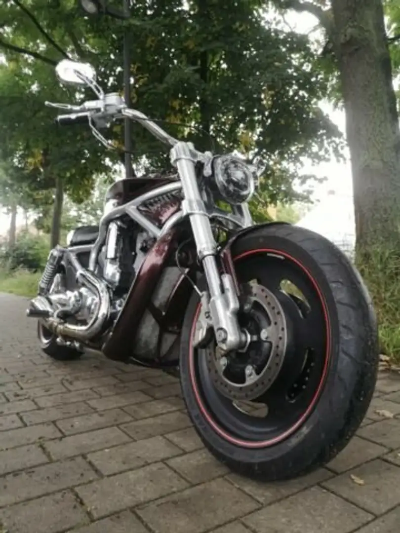 Harley-Davidson VRSC V-Rod Burdeos - 1