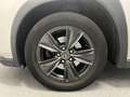 Lexus UX 250h Business Line | STOEL/STUUR V.W. | CAMERA |  CARPL Grijs - thumbnail 44