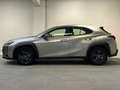 Lexus UX 250h Business Line | STOEL/STUUR V.W. | CAMERA |  CARPL Grijs - thumbnail 10
