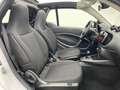 smart forTwo cabrio electric drive EQ TEMP*FREISPR* Weiß - thumbnail 23