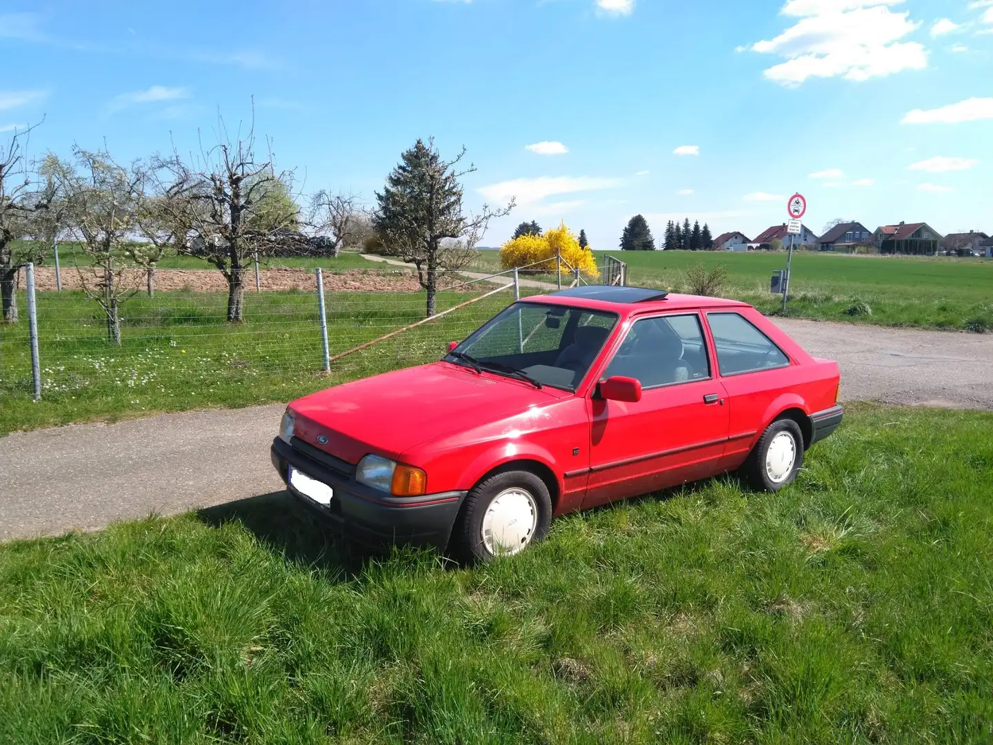 Ford Escort Escort Bravo Rot - 1