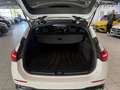 Mercedes-Benz C 300 C 300 T AMG Edition,Burmester,19 Zoll,Night,360° Bianco - thumbnail 5