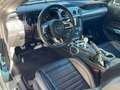Ford Mustang 5.0 TiVCT V8  GT BullitFastsb. Grün - thumbnail 14