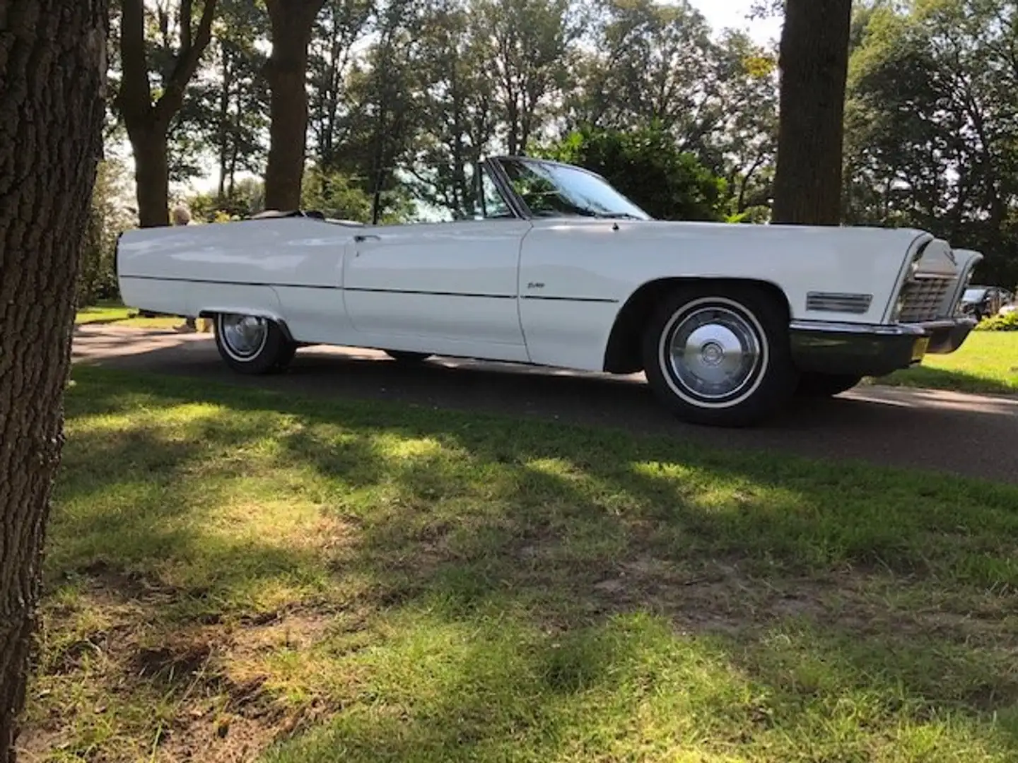 Cadillac Deville Deville 6 CD 47 Cabriolet Blanc - 2