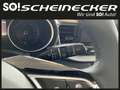 Kia Ceed SW / cee'd SW ceed SW 1,0 T-GDI GPF ISG Silber P2 - Paket Style Blanc - thumbnail 20