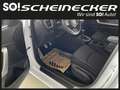 Kia Ceed SW / cee'd SW ceed SW 1,0 T-GDI GPF ISG Silber P2 - Paket Style Blanc - thumbnail 10