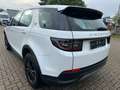 Land Rover Discovery Sport FWD *AHK*STANDHEIZUNG* Weiß - thumbnail 6