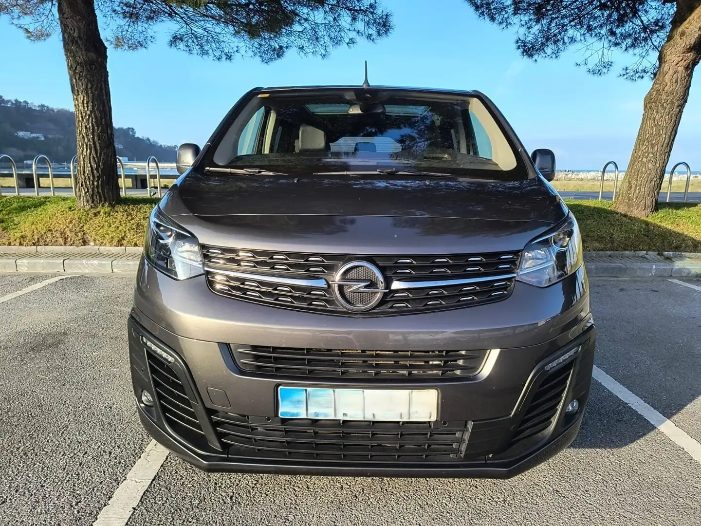 Opel Zafira Life Zafira+Life+2.0D+S+Innovation+150+Innovation Gris - 1