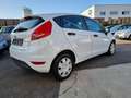 Ford Fiesta EURO 4 / KLIMA / EXPORT!!!FESTPREIS!!! Weiß - thumbnail 4