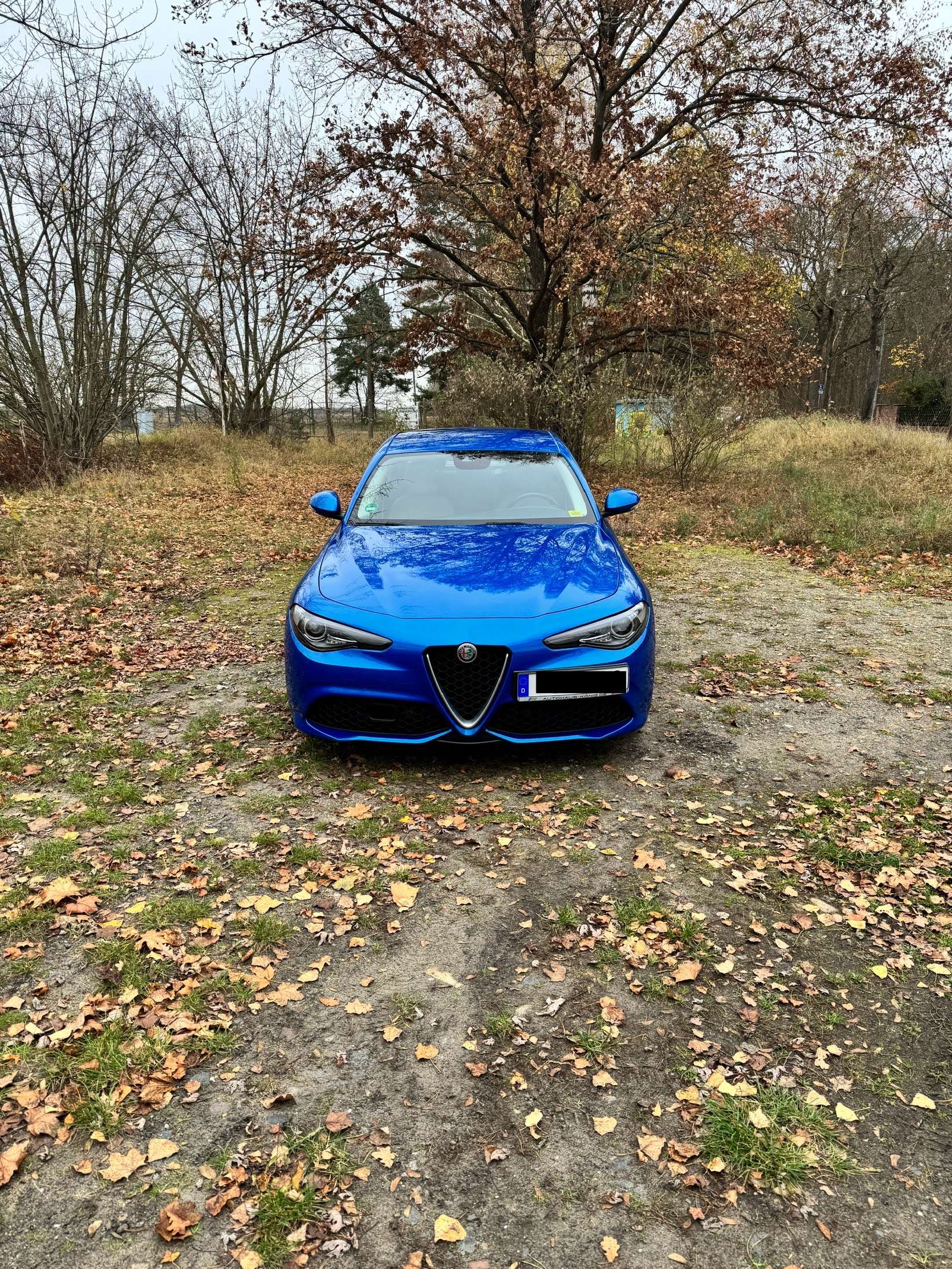 Second hand Alfa Romeo Giulia 2.0