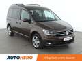 Volkswagen Caddy 1.4 TSI Comfortline BMT Aut.*NAVI*XENON*CAM*PDC* Braun - thumbnail 8