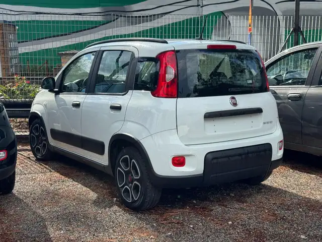 Fiat Panda view 2