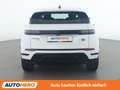 Land Rover Range Rover Evoque P300e Hybrid S R-Dynamic Weiß - thumbnail 5