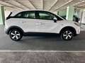 Opel Crossland X Business Edition 1,5 CDTI *1. Besitz/Service neu* Weiß - thumbnail 4