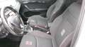 SEAT Arona 1.0 ecotsi FR 115cv Bianco - thumbnail 7