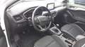 Ford Focus 1.5Ecoblue Trend+ 120 Blanco - thumbnail 5