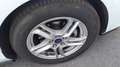 Ford Focus 1.5Ecoblue Trend+ 120 Blanco - thumbnail 11