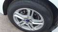 Ford Focus 1.5Ecoblue Trend+ 120 Blanco - thumbnail 12