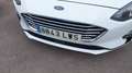 Ford Focus 1.5Ecoblue Trend+ 120 Blanco - thumbnail 13