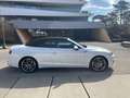 Audi S5 S5 Cabrio 3,0 TFSI quattro tiptronic Weiß - thumbnail 4