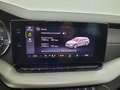 Skoda Octavia Combi 2,0 TDI 4x4 Style DSG AHK, Matrix-LED, He... Blau - thumbnail 14