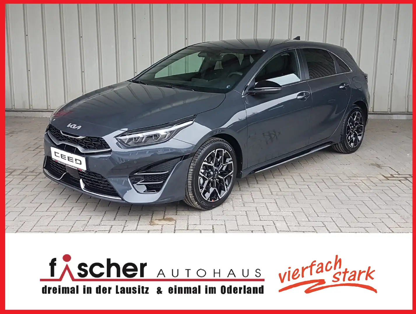 Kia Ceed / cee'd 1.5T 140 DCT7 GTL TEC inkl. BEAR-LOCK (WFSp) Grau - 1