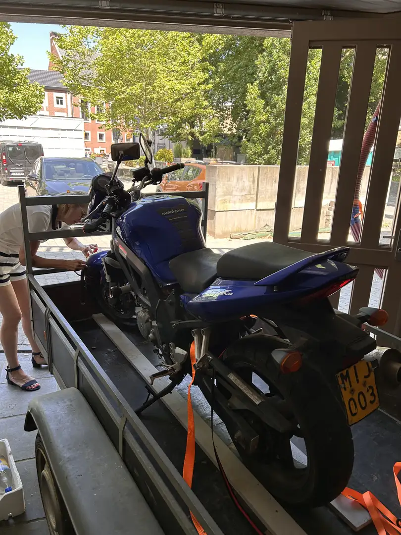 Suzuki SV 650 Suzuki SV, 650 bleu nuit - 2