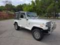 Jeep Wrangler Blanco - thumbnail 7
