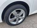 Skoda Fabia Combi Amb. Clever 1,0 TSI, LED, Kamera, Blindspot Weiß - thumbnail 21