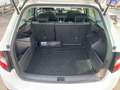 Skoda Fabia Combi Amb. Clever 1,0 TSI, LED, Kamera, Blindspot Weiß - thumbnail 20