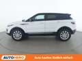 Land Rover Range Rover Evoque 2.0 Sd4 SE Weiß - thumbnail 3