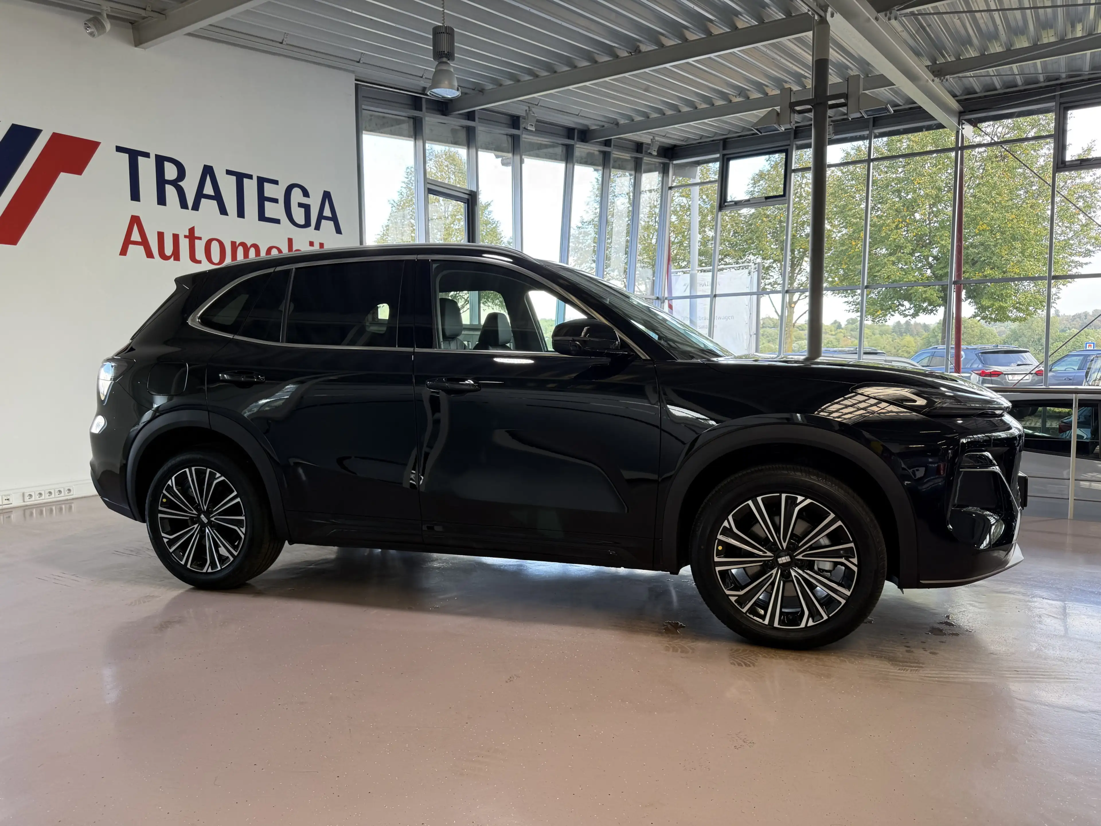 Geely Starray EM-i Pro+ 29,8kWh- 136KM el.Reichweite — photo 9