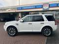 Land Rover Freelander 3.2 I6 S Automaat NL-auto PANO / TH / YOUNGTIMER Weiß - thumbnail 5