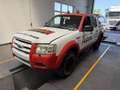 Ford Ranger Ranger Doppelkabine 4x4 XLT 2,5 TDCi Weiß - thumbnail 9