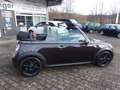 MINI One Cabrio "Sondermodell-chocolate" Braun - thumbnail 15