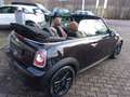 MINI One Cabrio "Sondermodell-chocolate" Braun - thumbnail 14