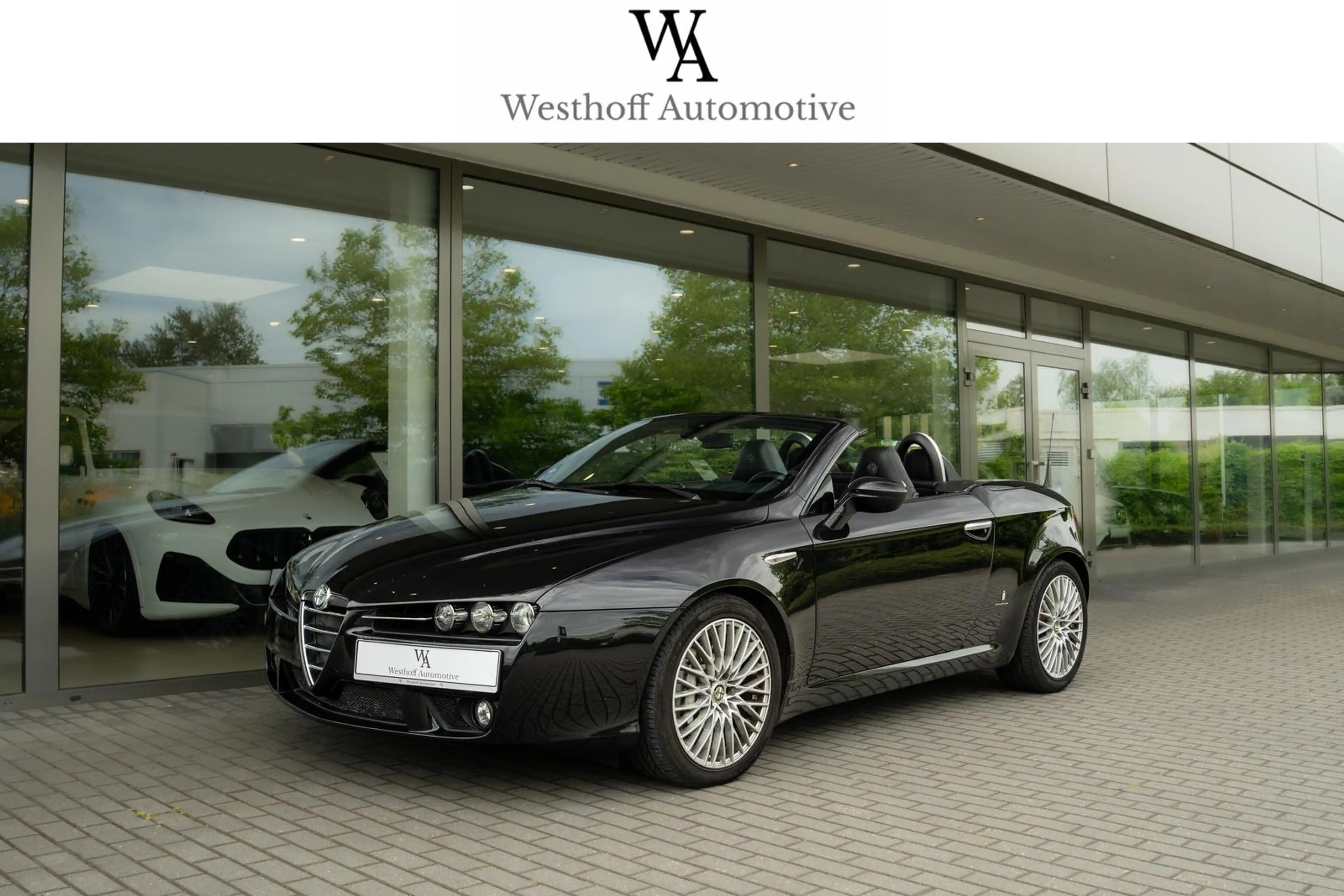 Alfa Romeo Spider 3.2 V6 JTS 24V Exclusive Q4 Metallic — photo 8