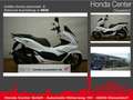 Honda PCX 125 PCX 125 ABS * Neu * 0 KM - thumbnail 1